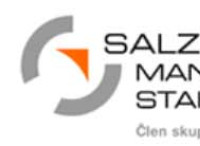 SALZGITTER